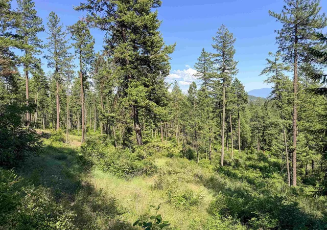 Homes for sale in Addy, WA | 2008 Tbd (e H) Summit Valley Rd, Addy, WA 99101 | MLS# 202618937