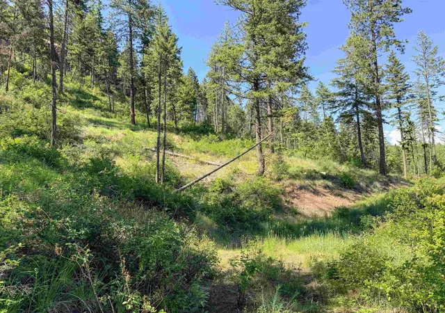 Homes for sale in Addy, WA | 2008 Tbd (e H) Summit Valley Rd, Addy, WA 99101 | MLS# 202618937