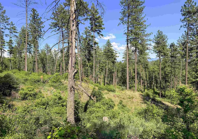 Photo 3 of Land for sale at 2008 Tbd (e H) Summit Valley Rd, Addy, WA 99101 | MLS# 202618937 | Listing updated on 2026-06-16