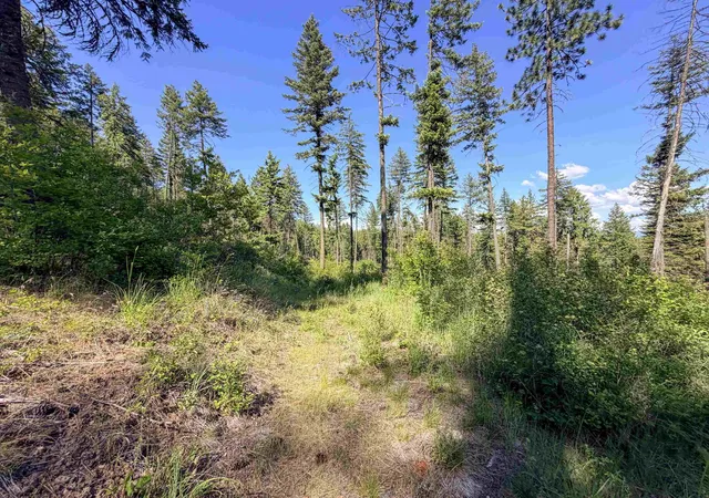 Photo 3 of Land for sale at 2008-tbd (e-h) Summit Valley Rd, Addy, WA 99101 | MLS# 202618937 | Listing updated on 2026-06-16
