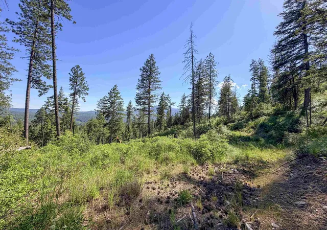 Photo 4 of Land for sale at 2008-tbd (e-h) Summit Valley Rd, Addy, WA 99101 | MLS# 202618937 | Listing updated on 2026-06-16