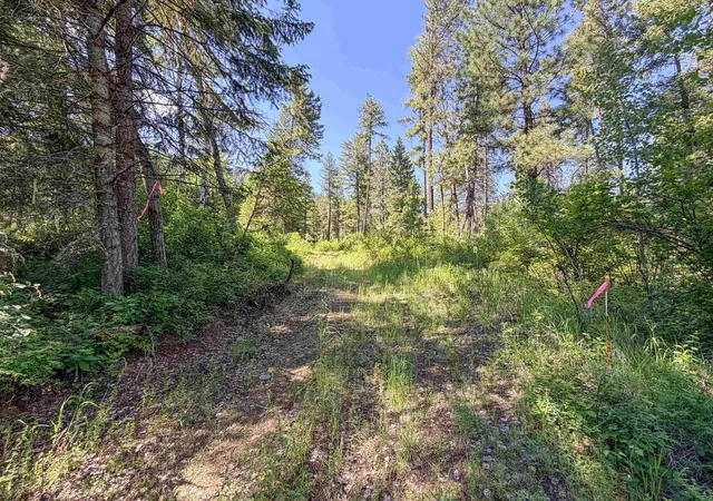 Homes for sale in Addy, WA | 2008 Tbd (k) Summit Valley Rd, Addy, WA 99101 | MLS# 202618950