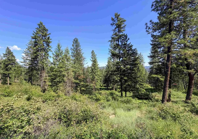 Homes for sale in Addy, WA | 2008 Tbd (k) Summit Valley Rd, Addy, WA 99101 | MLS# 202618950