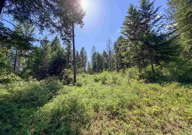 Homes for sale in Addy, WA | 2008 Tbd (k) Summit Valley Rd, Addy, WA 99101 | MLS# 202618950