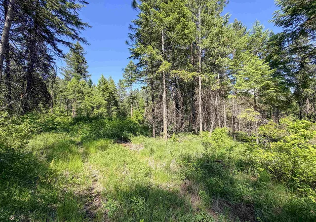 Homes for sale in Addy, WA | 2008 Tbd (a K) Summit Valley Rd, Addy, WA 99101 | MLS# 202618952