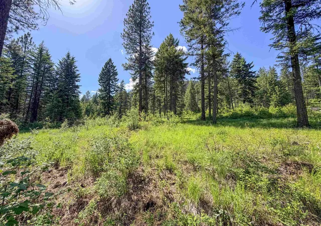 Homes for sale in Addy, WA | 2008-Tbd (A-K) Summit Valley Rd, Addy, WA 99101 | MLS# 202618952