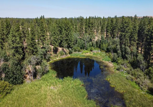 Homes for sale in Medical Lake, WA | Near 12523 S Clear Lake Rd, Medical Lake, WA 99022 | MLS# 202618974