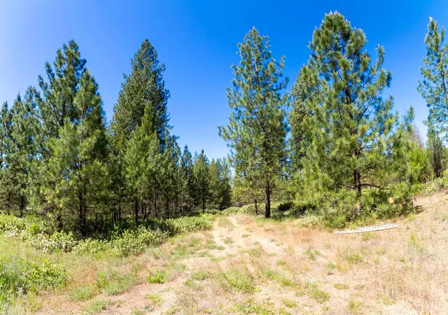Homes for sale in Chattaroy, WA | 29xxx N Hardesty Rd, Chattaroy, WA 99003 | MLS# 202618976