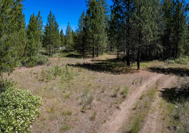 Homes for sale in Chattaroy, WA | 29Xxx N Hardesty Rd, Chattaroy, WA 99003 | MLS# 202618976