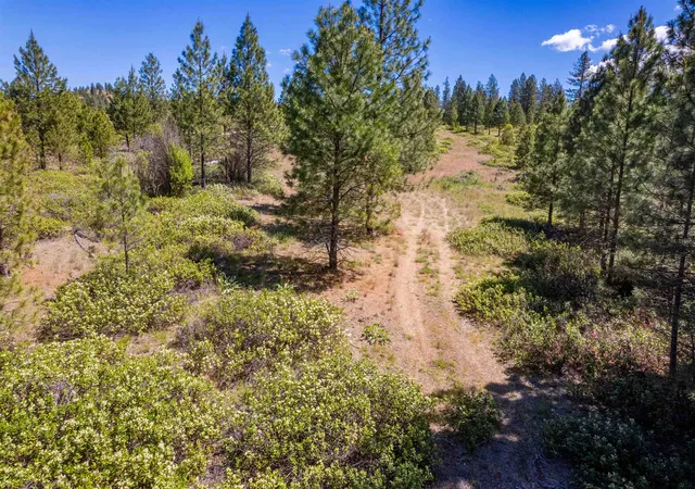 Homes for sale in Chattaroy, WA | 29Xxx N Hardesty Rd, Chattaroy, WA 99003 | MLS# 202618976