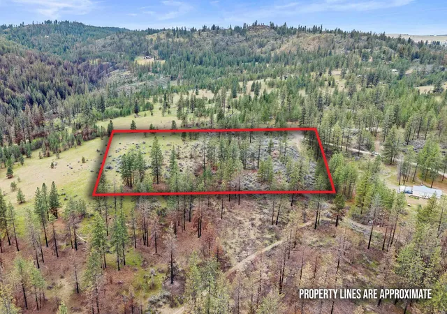 Homes for sale in Davenport, WA | 36480 N Western Pines Dr, Davenport, WA 99122 | MLS# 202618984