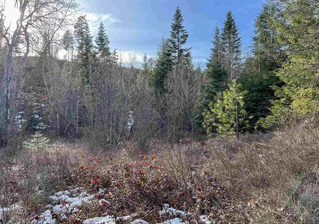 Homes for sale in Valley, WA | 35xx Harms Wy, Valley, WA 99181 | MLS# 202618999