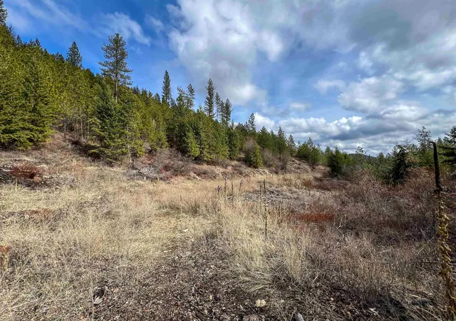 Photo 3 of Land for sale at 352x Greene Rd, Valley, WA 99181 | MLS# 202619002 | Listing updated on 2026-06-17