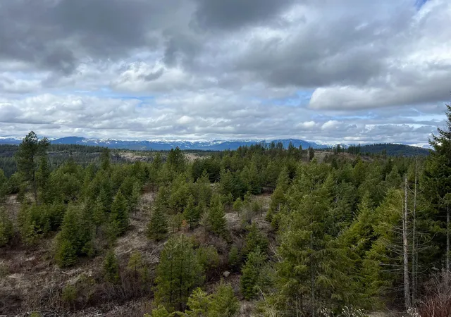 Photo 3 of Land for sale at 352x Greene Rd, Valley, WA 99181 | MLS# 202619002 | Listing updated on 2026-06-17