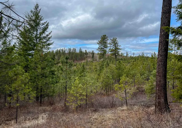 Photo 4 of Land for sale at 352x Greene Rd, Valley, WA 99181 | MLS# 202619002 | Listing updated on 2026-06-17