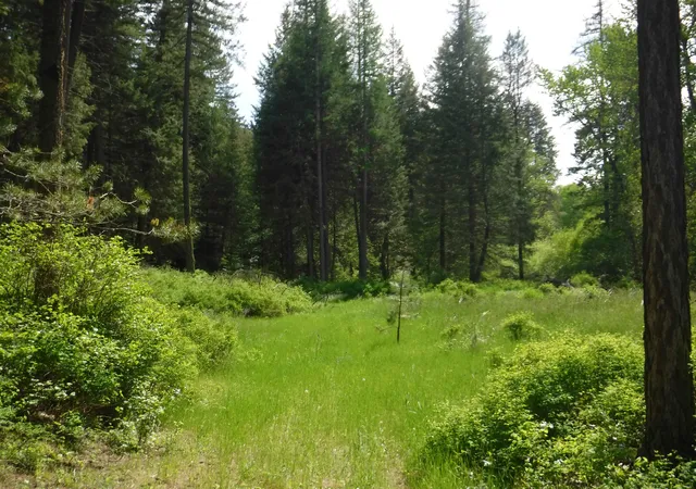 Photo 4 of Land for sale at Xx Woolard Rd, Colbert, WA 99005 | MLS# 202619010 | Listing updated on 2026-07-03