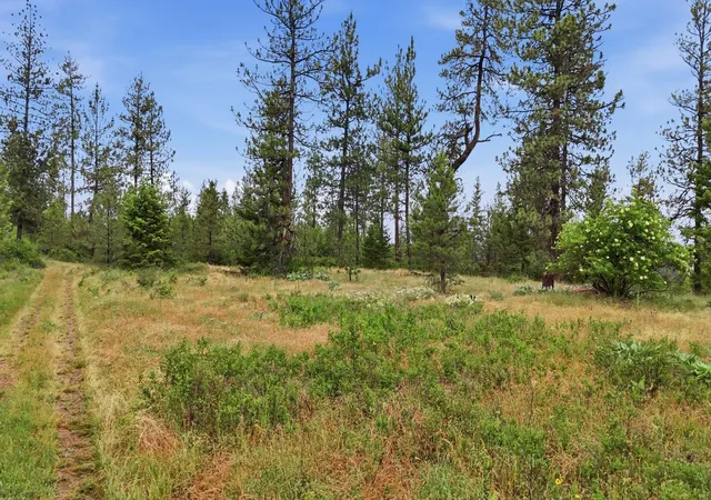 Photo 1 of Land for sale at Xxx W Highland Rd, Nine Mile Falls, WA 99026 | MLS# 202619071 | Listing updated on 2026-08-29