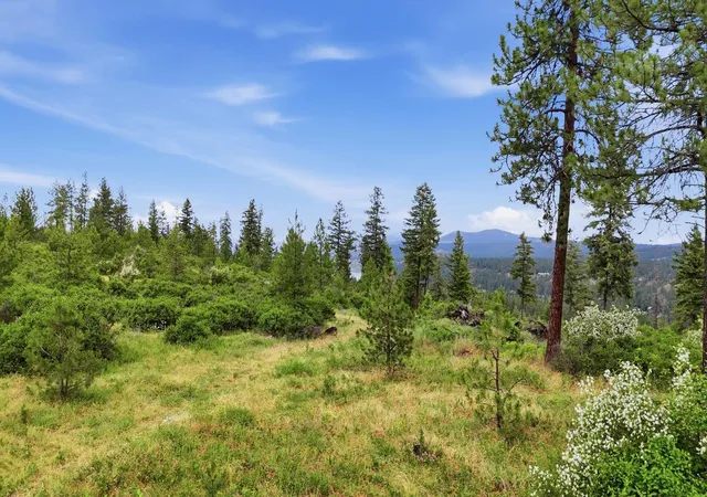 Photo 3 of Land for sale at Xxx W Highland Rd, Nine Mile Falls, WA 99026 | MLS# 202619071 | Listing updated on 2026-08-29
