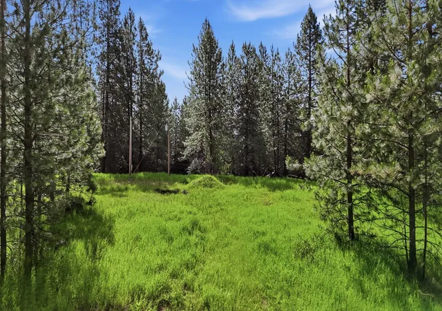 4th image of 22720 N Travis Rd, Mead, WA 99021 | MLS# 202619150