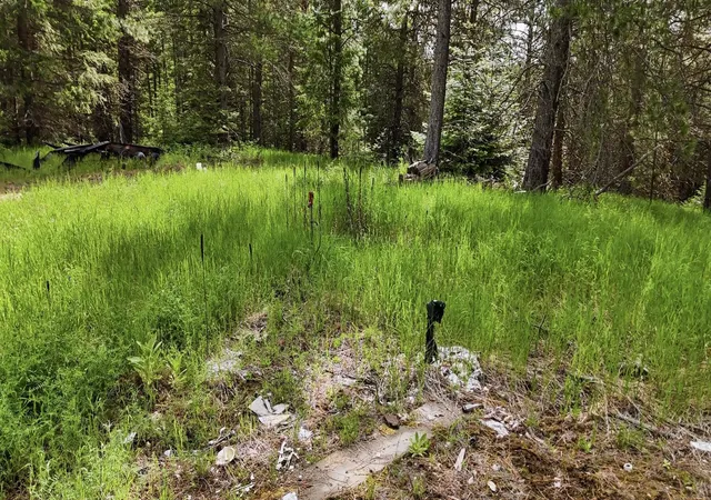 5th image of 22720 N Travis Rd, Mead, WA 99021 | MLS# 202619150