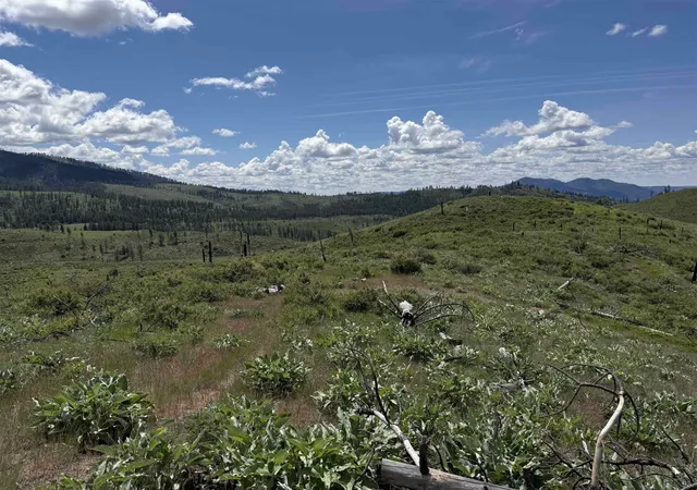 Homes for sale in Fruitland, WA | Tbd Coyote Canyon Rd, Fruitland, WA 99129 | MLS# 202619179