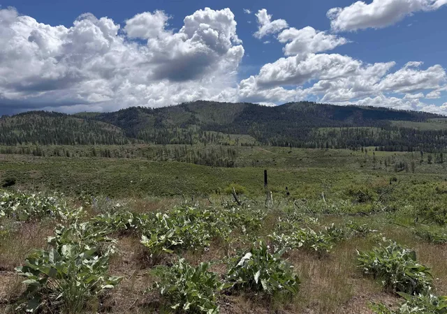 Homes for sale in Fruitland, WA | Tbd Coyote Canyon Rd, Fruitland, WA 99129 | MLS# 202619179