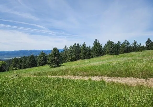 Homes for sale in Rice, WA | 3635 B Breckenridge Rd, Rice, WA 99167 | MLS# 202619201