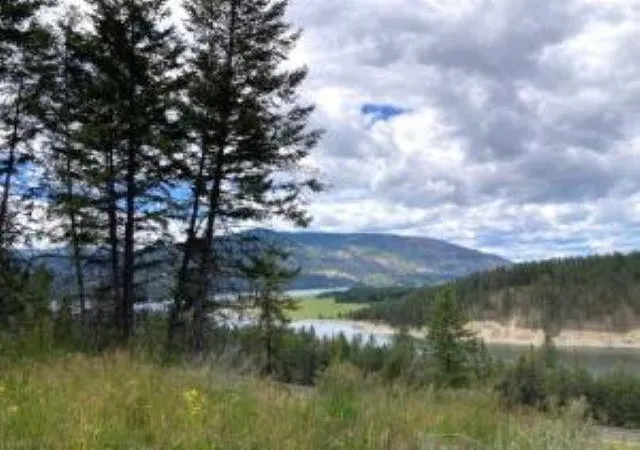 Homes for sale in Kettle Falls, WA | 1381 #B S Hwy 25 Hwy, Kettle Falls, WA 99141 | MLS# 202619265