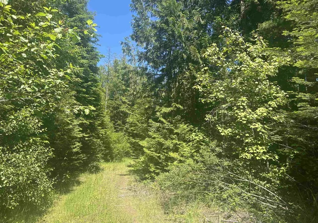 Photo 1 of Land for sale at 00 N Foster Ln, Cusick, WA 99180 | MLS# 202619309 | Listing updated on 2026-09-24