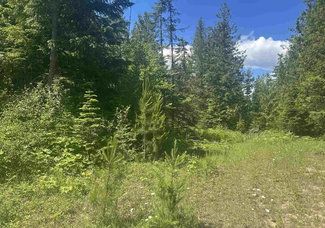 Photo 3 of Land for sale at 00 N Foster Ln, Cusick, WA 99180 | MLS# 202619309 | Listing updated on 2026-09-24