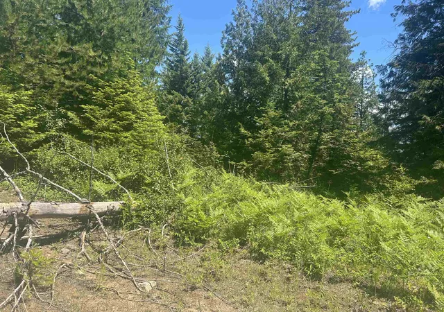 Photo 4 of Land for sale at 00 N Foster Ln, Cusick, WA 99180 | MLS# 202619309 | Listing updated on 2026-09-24