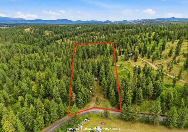 Homes for sale in Chattaroy, WA | 11603 E Deer Creek Rd, Chattaroy, WA 99003 | MLS# 202619328
