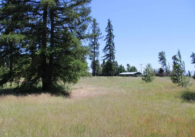 Homes for sale in Clayton, WA | 45xx W Gibson Dahl Rd, Clayton, WA 99110 | MLS# 202619366