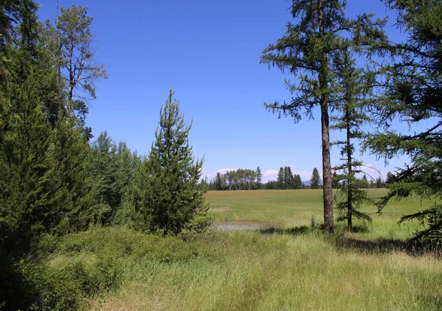 Homes for sale in Clayton, WA | 45Xx W Gibson-Dahl Rd, Clayton, WA 99110 | MLS# 202619366