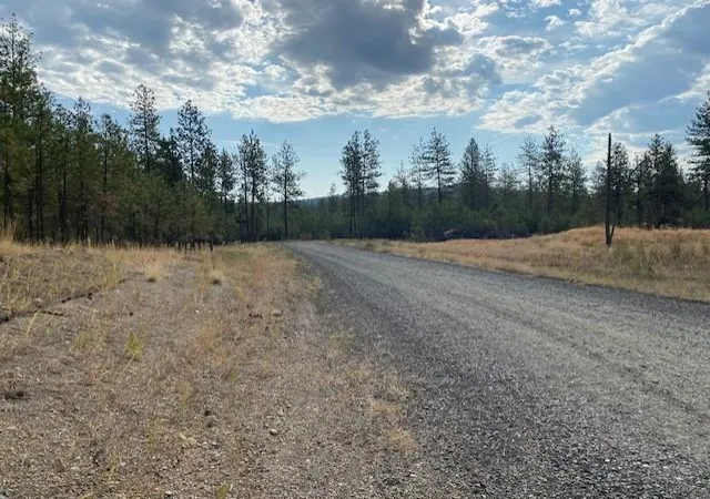 Homes for sale in Tumtum, WA | 5742 J Corkscrew Canyon Rd, Tumtum, WA 99034 | MLS# 202619500