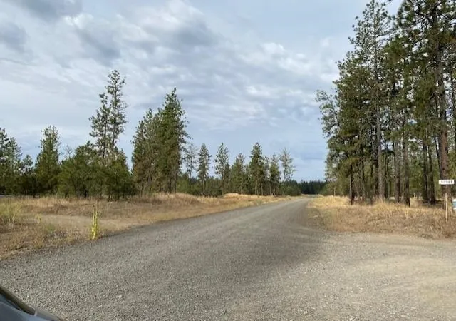 Homes for sale in Tumtum, WA | 5742 J Corkscrew Canyon Rd, Tumtum, WA 99034 | MLS# 202619500