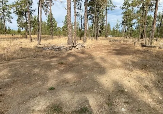 Homes for sale in Tumtum, WA | 5742 J Corkscrew Canyon Rd, Tumtum, WA 99034 | MLS# 202619500