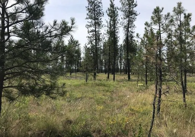 Homes for sale in Tumtum, WA | 5742 J Corkscrew Canyon Rd, Tumtum, WA 99034 | MLS# 202619500