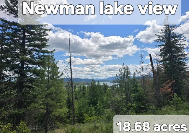 Homes for sale in Newman Lake, WA | 20300 E Mountain View Rd, Newman Lake, WA 99025 | MLS# 202619588