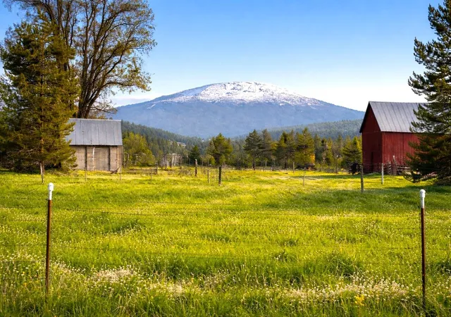 Photo 2 of Land for sale at 46xx Bittrich Antler Rd, Deer Park, WA 99006 | MLS# 202619594 | Listing updated on 2026-09-28