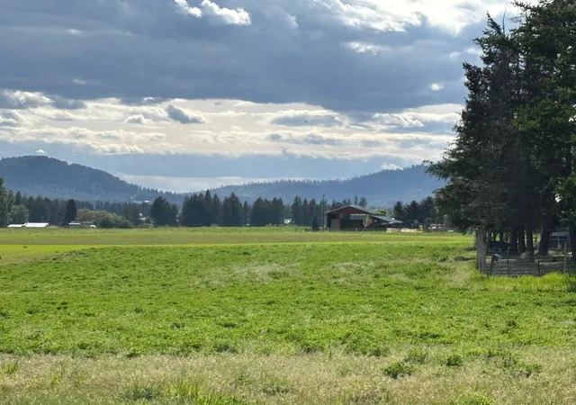 Photo 3 of Land for sale at 46xx Bittrich Antler Rd, Deer Park, WA 99006 | MLS# 202619594 | Listing updated on 2026-09-28