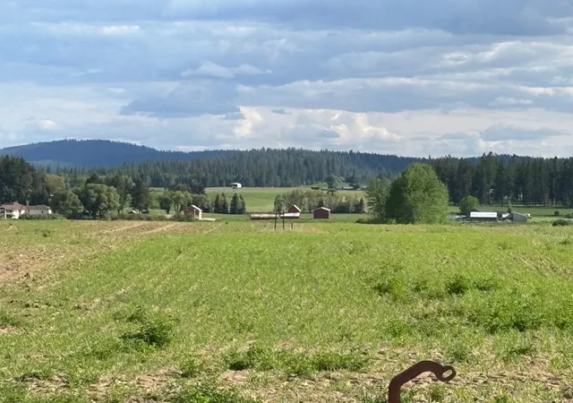 Photo 4 of Land for sale at 46xx Bittrich Antler Rd, Deer Park, WA 99006 | MLS# 202619594 | Listing updated on 2026-09-28