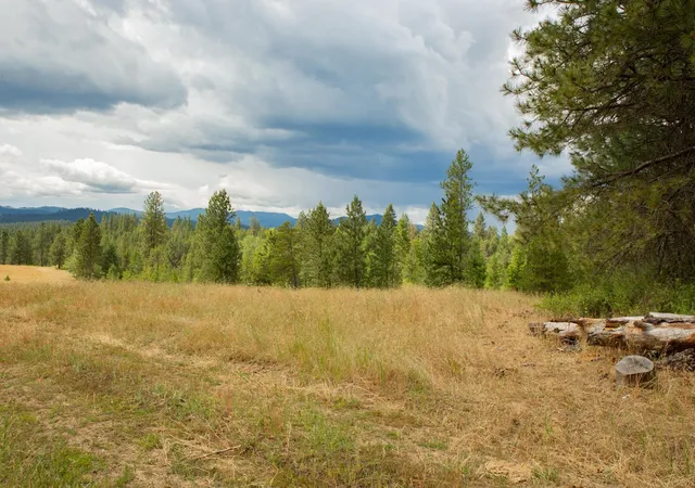Photo 3 of Land for sale at 4110 Cemetery Rd, Springdale, WA | MLS# 202619613 | Listing updated on 2026-08-03