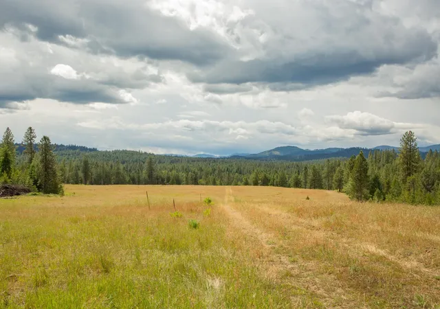 Photo 4 of Land for sale at 4110 Cemetery Rd, Springdale, WA | MLS# 202619613 | Listing updated on 2026-08-03