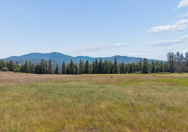 Homes for sale in Chattaroy, WA | Xxx Orchard Bluff Rd, Chattaroy, WA 99003 | MLS# 202619682