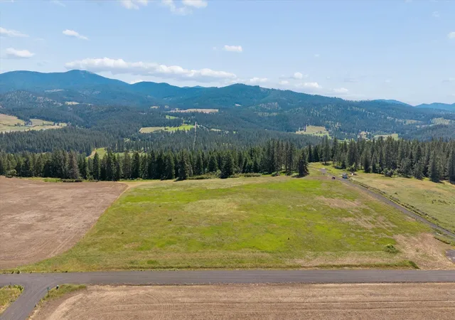 Homes for sale in Chattaroy, WA | Xxx Orchard Bluff Rd, Chattaroy, WA 99003 | MLS# 202619682