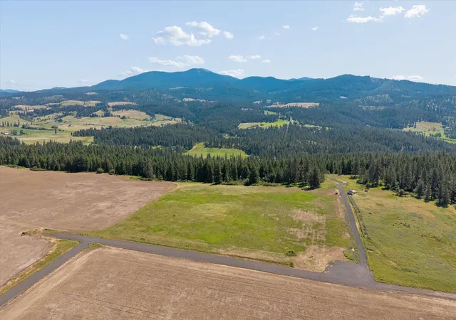 Homes for sale in Chattaroy, WA | Xxx Orchard Bluff Rd, Chattaroy, WA 99003 | MLS# 202619682