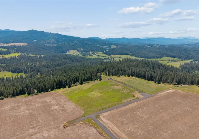 Homes for sale in Chattaroy, WA | Xxx Orchard Bluff Rd, Chattaroy, WA 99003 | MLS# 202619682