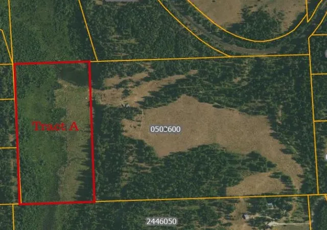 Homes for sale in Springdale, WA | 4110 Cemetery Tract Ab Rd, Springdale, WA 99137 | MLS# 202619687