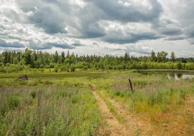 Homes for sale in Springdale, WA | 4110 Cemetery Tract Ab Rd, Springdale, WA 99137 | MLS# 202619687